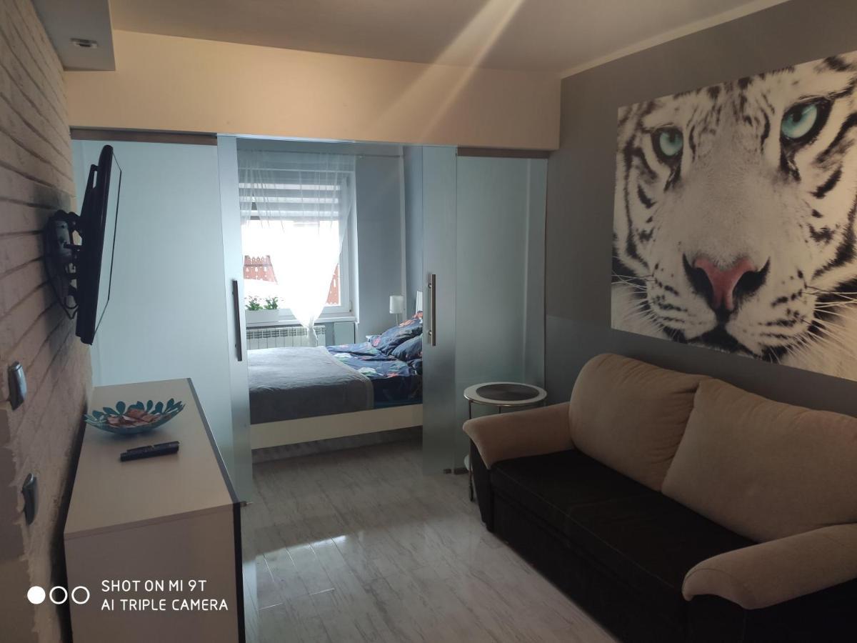 Tygrys Apartment Zakopane